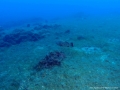 DCIM\101GOPRO