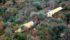 Epave de l’Avion THRUSH de Casta le 22-12-2018