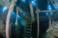 IMG_7822-Enhanced-NR