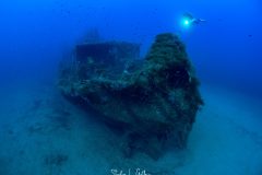 IMG_7827-Enhanced-NR