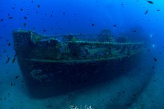 IMG_7847-Enhanced-NR