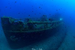 IMG_7850-Enhanced-NR-2