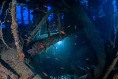 IMG_7862-Enhanced-NR