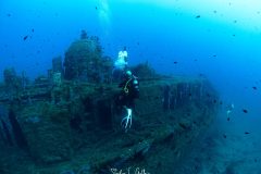 IMG_7872-Enhanced-NR