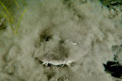 P1022361