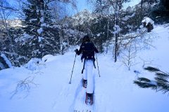 IMG_0075