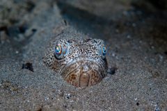 P1033079