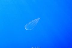 IMG_3863