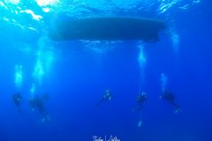 IMG_2510