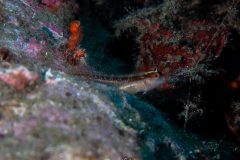 IMG_6405