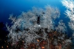 IMG_5572