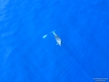 DCIM\100MEDIA\DJI_0172.JPG