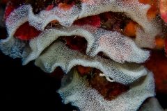 23052026-IMG_7096