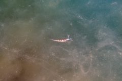 23052026-IMG_7114