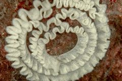 P1088405