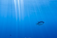 IMG_1139
