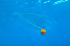 IMG_7105