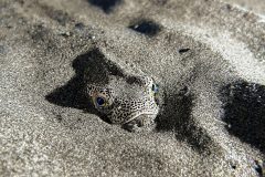 IMG_4797