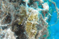 IMG_3755