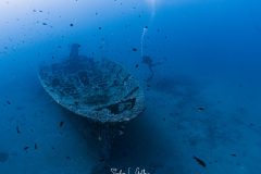 IMG_7703
