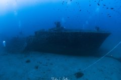 IMG_7735