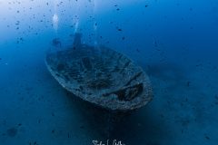 IMG_7747