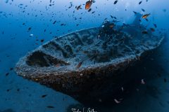 IMG_7770