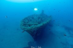 IMG_7725 IMG_7725