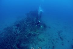 IMG_7752 IMG_7752