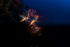 IMG_7969