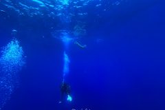 IMG_0333