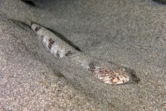 IMG_8794