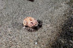 IMG_8798 IMG_8798