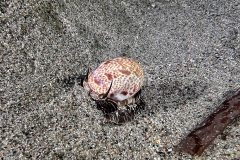 IMG_8801 IMG_8801