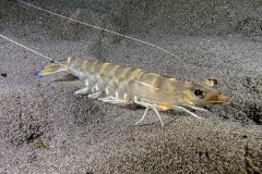 IMG_8825 IMG_8825