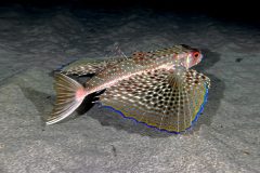 IMG_8829 IMG_8829