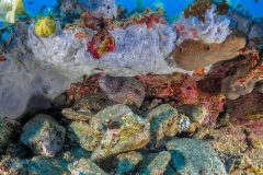 A-IMG_5765