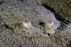 IMG_7571 IMG_7571