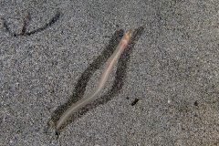 IMG_7576 IMG_7576