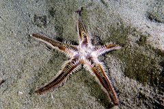IMG_7578 IMG_7578
