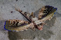 IMG_7593 IMG_7593