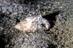 IMG_7602 IMG_7602
