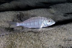 IMG_7610 IMG_7610