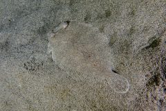 IMG_7612 IMG_7612
