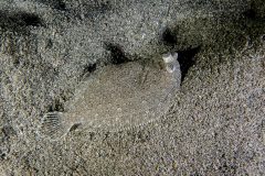 IMG_7622 IMG_7622