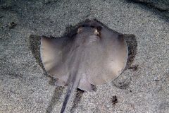 IMG_7647 IMG_7647