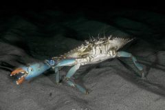 IMG_7654 IMG_7654