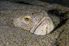 IMG_0735