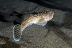 IMG_1225