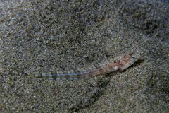 IMG_1228